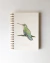 Cuaderno Picaflor verde - comprar online