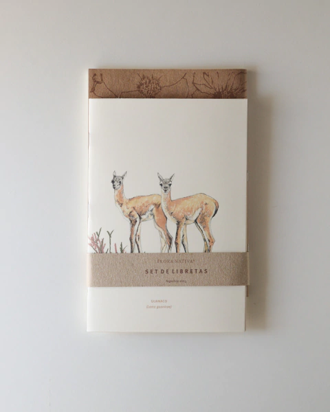 Set de libretas Guanaco - comprar online