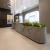 Porcellanato Antico Ivory Eco Grp 6Mm. 120X120cm X4,32M2. - Vite - Ricardo Ospital