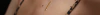 Banner Floral da Pele