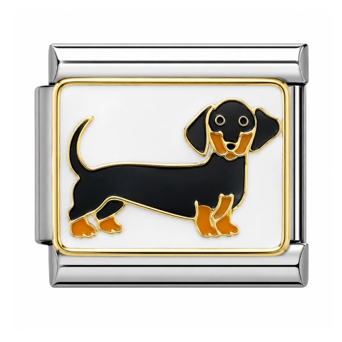 Perro Salchicha