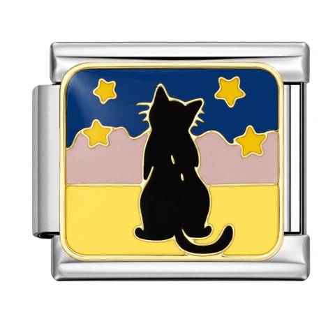 Gato negro en noche estrellada