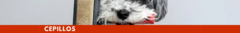 Banner de la categoría Cepillos