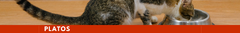 Banner de la categoría Platos