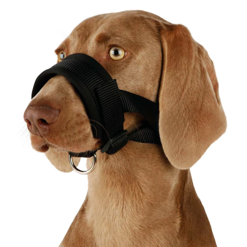 Bozal Lazo Nylon Perro Entrenamiento Adiestramiento XXL - comprar online