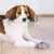 Medias Para Perros Base Antideslizante Trixie Algodon L - XL en internet