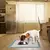 Paños Sanitarios Absorbentes Perro X10 Carbon Activado 60x60 - Distribuidora Market Plus