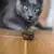 Imagen de Hierba Gatera Catnip Ball Pelota Zootec Juguete Para Gatos