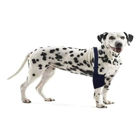 Soporte De Codo Para Perros Talle S Lorvet Codera Ortopédica - comprar online