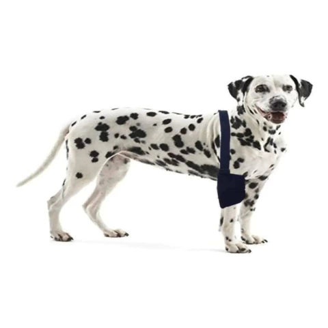 Soporte De Codo Para Perros Talle M Lorvet Codera Ortopédica