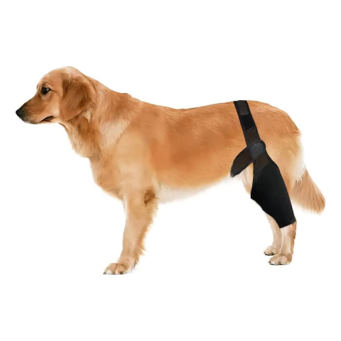 Rodillera Ortopédica Para Perros Talle M Lorvet Soporte De Rodilla - comprar online