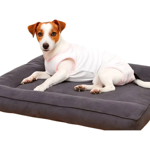 Bata Postquirúrgica Para Perros Y Gatos Hembra Talle XL 53 Cm De Largo Lorvet