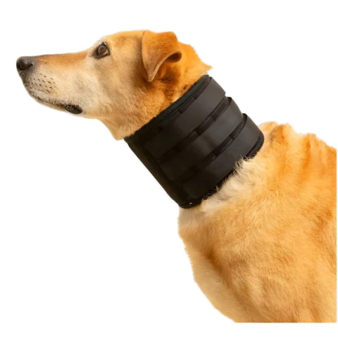 Collar Isabelino Recto Talle M Para Perros Y Gatos Lorvet