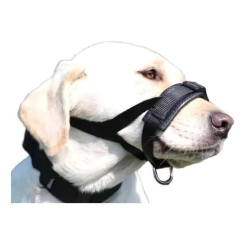 Bozal Ajustable Para Perros Talle L Lorvet Entrenamiento Canino Neoprene Acolchado