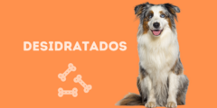Banner da categoria Desidratados
