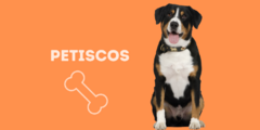 Banner da categoria Petiscos