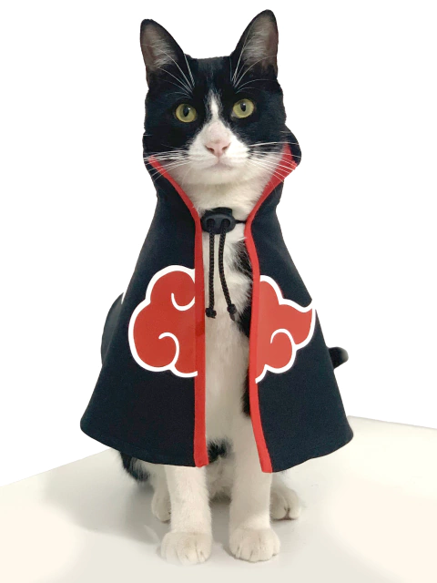 Capa Akatsuki para Gato - comprar online