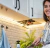 Led Listones Sensor Movimiento - tienda online