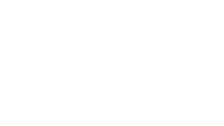 ARTEC STORE