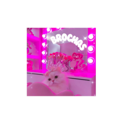 Banner de la categoría Brochas