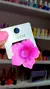 Broche hawaiano mediano