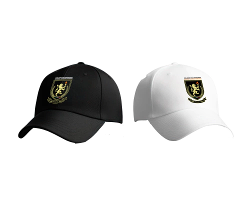 Gorras casuales
