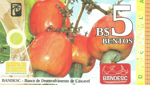 Cédula Comunitária, 5 Bentos - comprar online