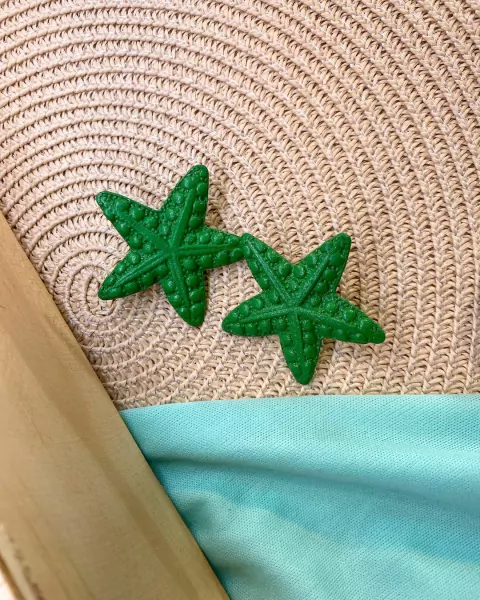 Brinco 19 - Estrela do mar