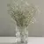 Florero Corniche – Vidrio Transparente, Diseño Texturizado - tienda online