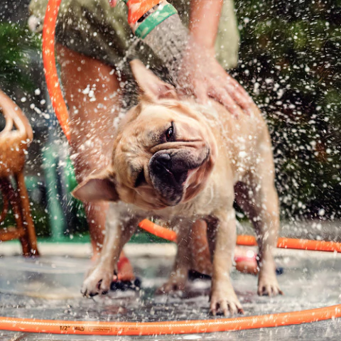 Manguera Tramontina Multi 1/2 Con Soporte Naranja De 30 M