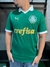 CAMISA DE TIME PALMEIRAS