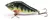 Señuelo Amberjack Slider 8 Cm 24 Gr Pesca Dorado - comprar online