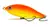 Señuelo Don Kb Nitro Pala 1 11cm 45gr Rattling Dorado Pesca en internet