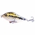Slider Amberjack 10 Cm 45 Gr Pesca Dorado - Pescar.Info Shop