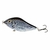 Slider Amberjack 10 Cm 45 Gr Pesca Dorado en internet
