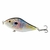 Slider Amberjack 10 Cm 45 Gr Pesca Dorado - comprar online
