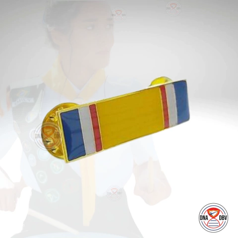 Insígnia de Excelência