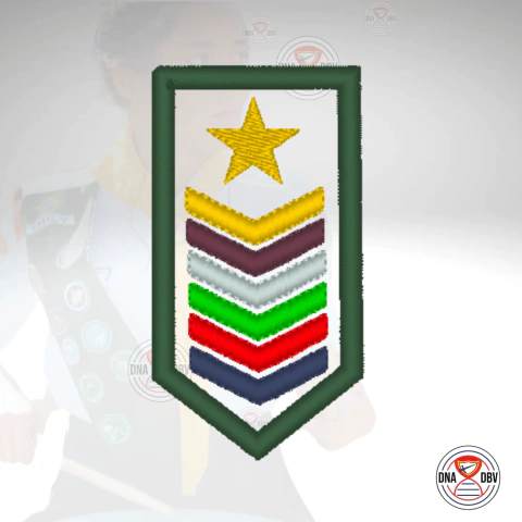 Divisa de Líder Desbravadores - comprar online