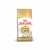 Royal Canin Feline Siamese - comprar en línea