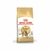 Royal Canin Gato Bengal - comprar en línea