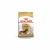 Royal canin Dachsund adulto