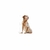 Royal Canin Medium 7+ en internet