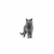 Royal Canin British en internet