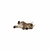 Royal Canin Maine Coon Kitten en internet
