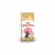 Royal Canin Maine Coon Kitten
