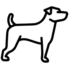 Categoría 1