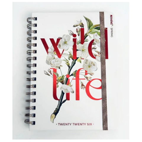 AGENDA SPRING SEMANAL 2026, MOOVING - comprar online