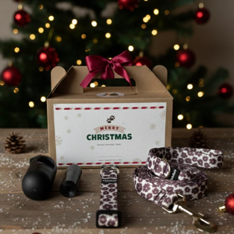Box Navideño Especial - comprar online