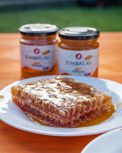 MIEL 250 GR. en internet