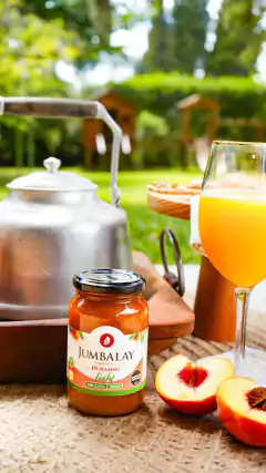 MERMELADA LIGHT DE DURAZNO 420 gr. en internet